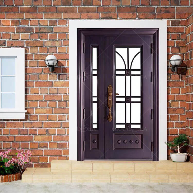 steel door with double glass design