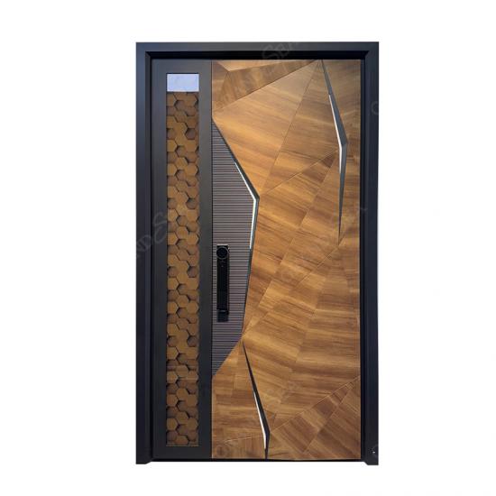 modern pivot front door