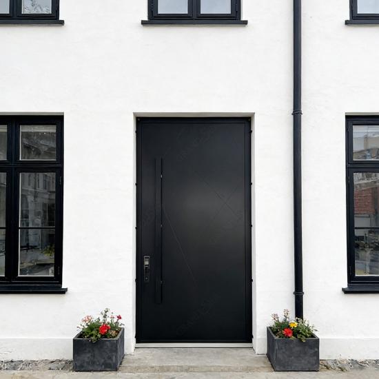 aluminum oversized pivot door